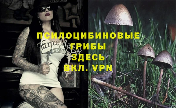 синтетический гашиш Арсеньев